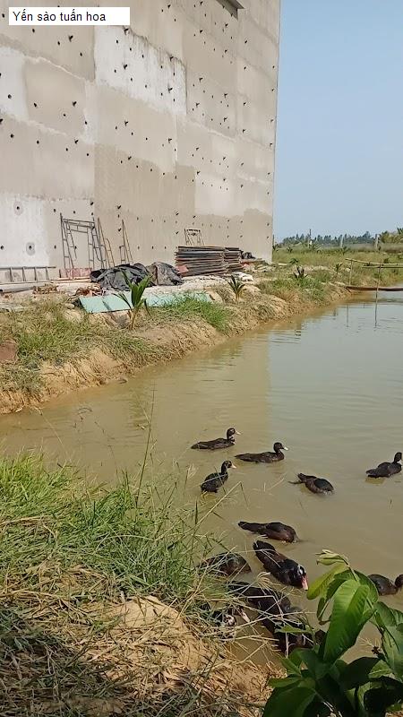 Danh sách 6 Cửa Hàng Yến Sào tại H. Tân Hưng, T. Long An