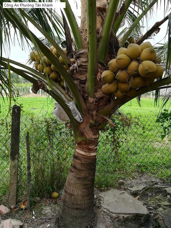 Công An Phường Tân Khánh
