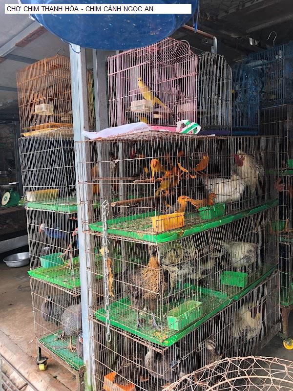 CHỢ CHIM THẠNH HÓA - CHIM CẢNH NGỌC AN