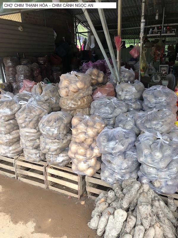 CHỢ CHIM THẠNH HÓA - CHIM CẢNH NGỌC AN