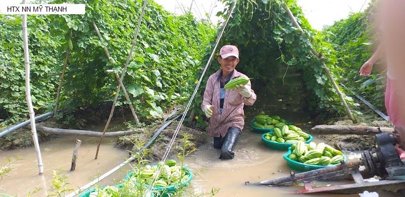 HTX NN MỸ THẠNH
