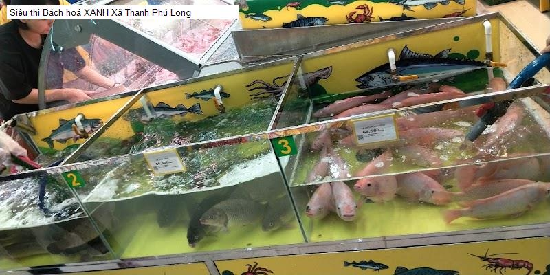 Siêu thị Bách hoá XANH Xã Thanh Phú Long